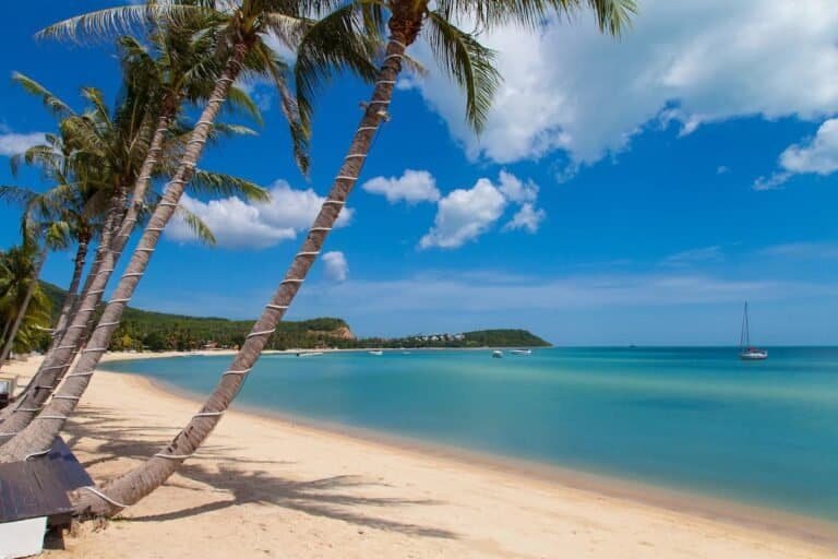 privilege-ezra-beach