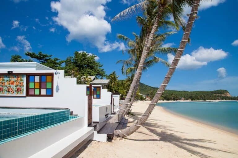 privilege-ezra-beachfront-view